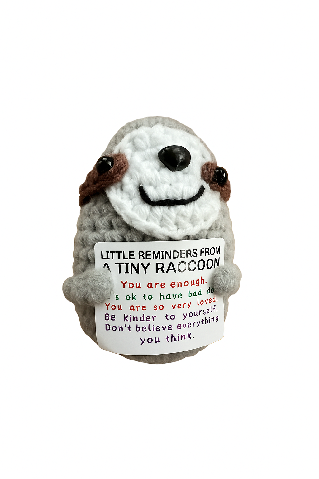 Really Kind Racoon
