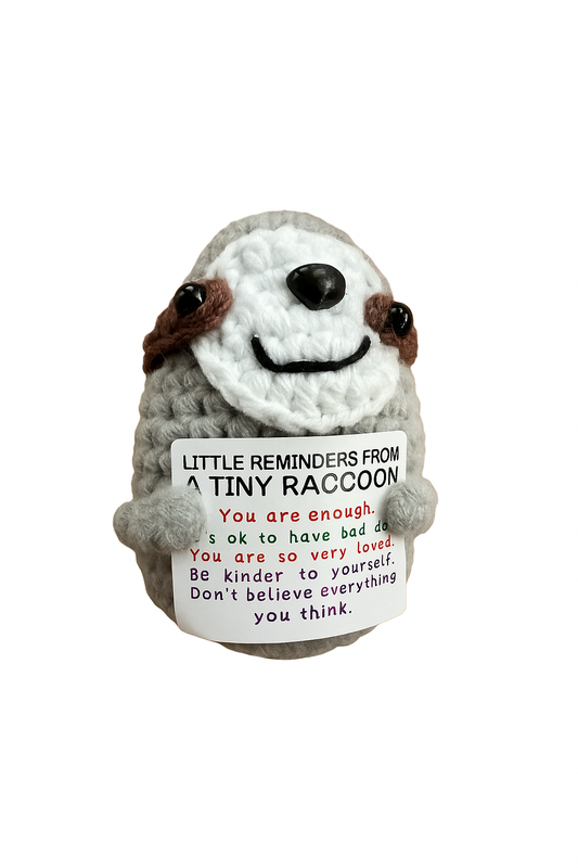 Really Kind Racoon
